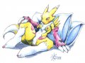 Furry Yiffy Hentai Digimon - Sawblade - Renamon_Pillow.jpg